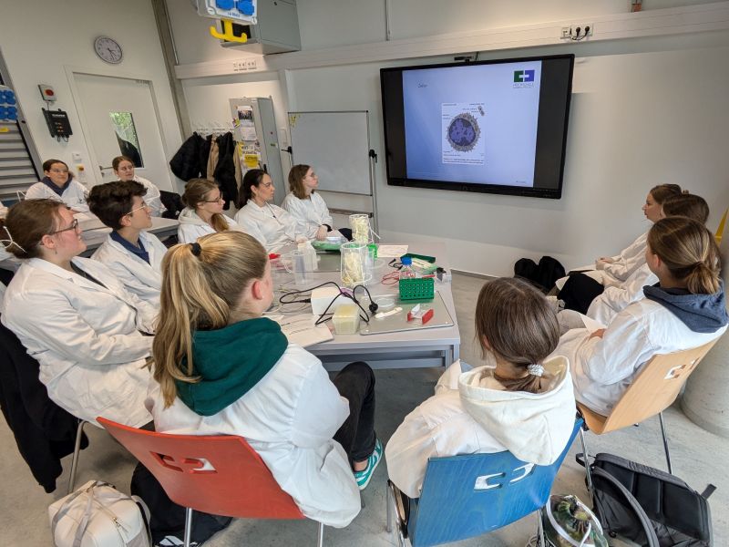 MINT-Tag an der HSHL für Oberstufe des Rüthener Gymnasiums ein voller Erfolg